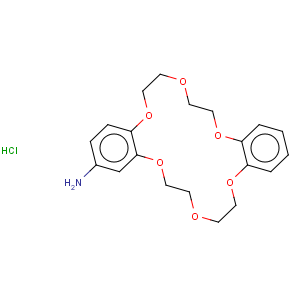 CAS No:205873-22-9 Dibenzo[b,k][1,4,7,10,13,16]hexaoxacyclooctadecin-2-amine,6,7,9,10,17,18,20,21-octahydro-, hydrochloride (1:1)