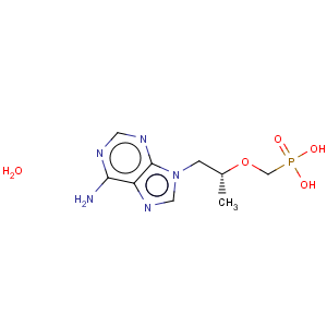 CAS No:206184-49-8 9-[(R)-2-(Phosphonomethoxy)propyl]adenine monohydrate