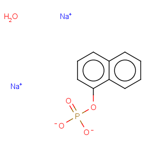 CAS No:207569-06-0 1-NAPHTHYLPHOSPHATEDISODIUMSALTMONOHYDRATE