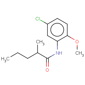 CAS No:209683-34-1 Pentanamide,N-(5-chloro-2-methoxyphenyl)-2-methyl-