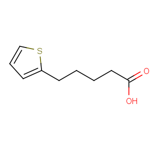 CAS No:21010-06-0 5-thiophen-2-ylpentanoic acid