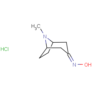 CAS No:212079-30-6 8-Azabicyclo[3.2.1]octan-3-one,8-methyl-, oxime, hydrochloride (1:1)