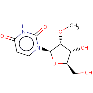 CAS No:2140-76-3 2'-O-Methyluridine