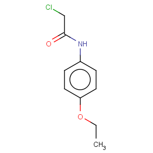 CAS No:2153-08-4 Acetamide,2-chloro-N-(4-ethoxyphenyl)-