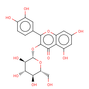 CAS No:21637-25-2 Isoquercitrin