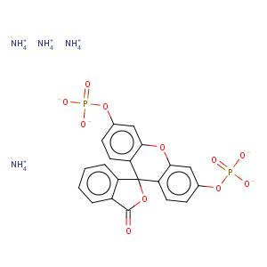 CAS No:217305-49-2 Fluorescein diphosphate tetraammonium salt