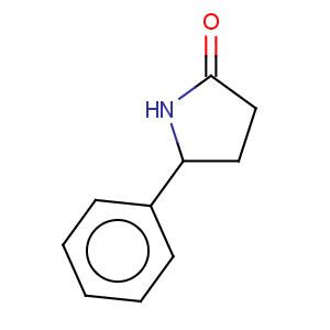 CAS No:22050-10-8 2-Pyrrolidinone,5-phenyl-