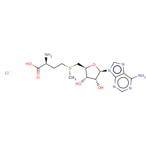CAS No:24346-00-7 Adenosine,5'-[[(3S)-3-amino-3-carboxypropyl]methylsulfonio]-5'-deoxy-, chloride (1:1)