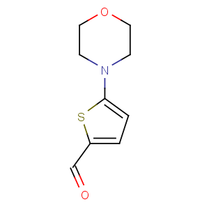 CAS No:24372-49-4 5-morpholin-4-ylthiophene-2-carbaldehyde