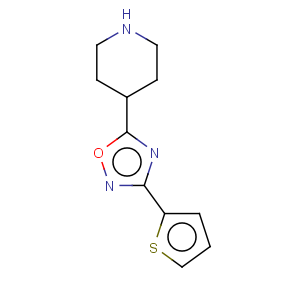 CAS No:244272-35-3 4-[3-(THIEN-2-YL)-1,2,4-OXADIAZOL-5-YL]PIPERIDINE