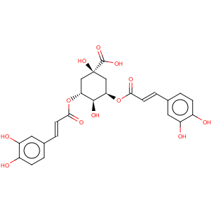 CAS No:2450-53-5 Isochlorogenic acid A