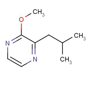 CAS No:24683-00-9 2-methoxy-3-(2-methylpropyl)pyrazine