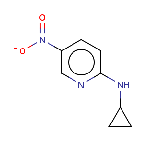 CAS No:246862-51-1 2-Pyridinamine,N-cyclopropyl-5-nitro-