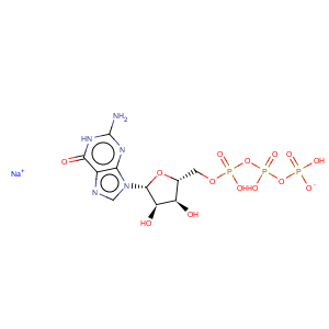 CAS No:24905-71-3 Guanosine5'-(tetrahydrogen triphosphate), sodium salt (1:?)