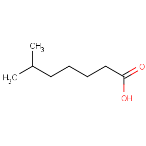 CAS No:25103-52-0 6-methylheptanoic acid