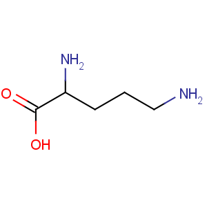 CAS No:25104-12-5 L-Ornithine,homopolymer