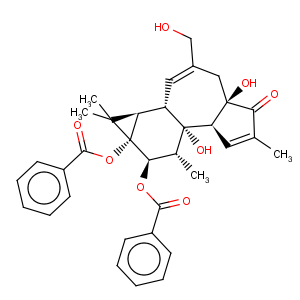 CAS No:25405-85-0 5H-Cyclopropa[3,4]benz[1,2-e]azulen-5-one,9,9a-bis(benzoyloxy)-1,1a,1b,4,4a,7a,7b,8,9,9a-decahydro-4a,7b-dihydroxy-3-(hydroxymethyl)-1,1,6,8-tetramethyl-,(1aR,1bS,4aR,7aS,7bS,8R,9R,9aS)-