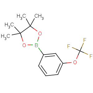 CAS No:262376-31-8 4,4,5,5-tetramethyl-2-[3-(trifluoromethoxy)phenyl]-1,3,2-dioxaborolane