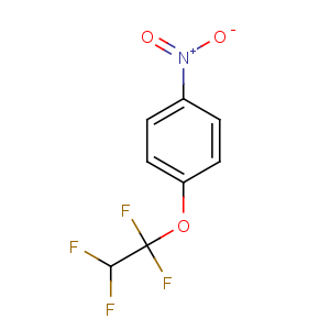 CAS No:28202-32-6 1-nitro-4-(1,1,2,2-tetrafluoroethoxy)benzene