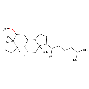 CAS No:2867-93-8 3,5-Cyclocholestane,6-methoxy-, (3a,5R,6b)-