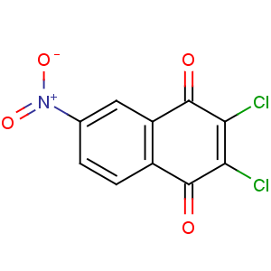 CAS No:29284-76-2 2,3-dichloro-6-nitronaphthalene-1,4-dione