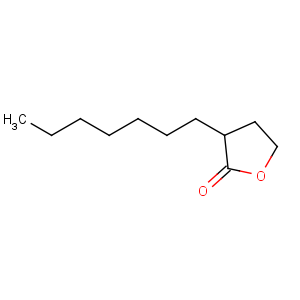 CAS No:2983-21-3 2(3H)-Furanone,3-heptyldihydro-