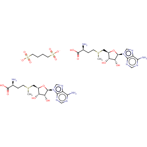 CAS No:29908-03-0 S-Adenosyl-L-methionine