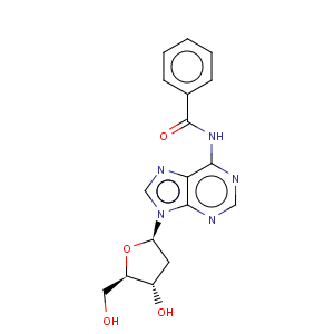 CAS No:305808-19-9 N6-Benzoyl-2'-deoxyadenosine