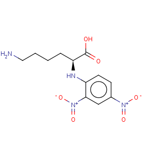 CAS No:3130-02-7 Lysine,N2-(2,4-dinitrophenyl)-