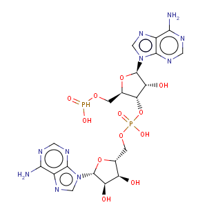 CAS No:33009-07-3 Adenosine Adenylyl-(3'->