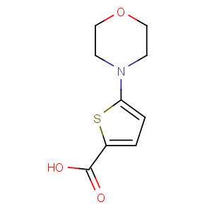 CAS No:332345-27-4 5-morpholin-4-ylthiophene-2-carboxylic acid
