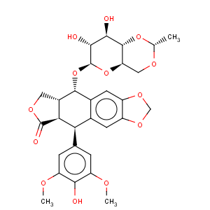 CAS No:33419-42-0 Etoposide