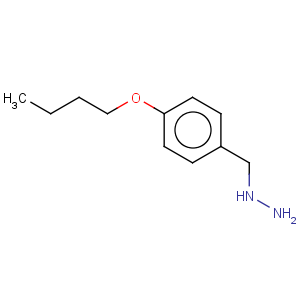 CAS No:33556-45-5 4-butoxy-benzyl-hydrazine