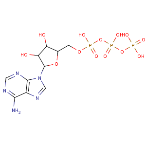 CAS No:34369-07-8 [[(2R,3S,4R,5R)-5-(6-aminopurin-9-yl)-3,<br />4-dihydroxyoxolan-2-yl]methoxy-hydroxyphosphoryl] phosphono hydrogen<br />phosphate