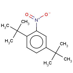 CAS No:3463-35-2 Benzene,1,4-bis(1,1-dimethylethyl)-2-nitro-
