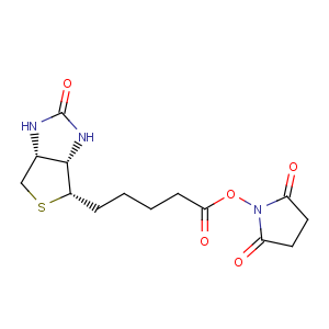 CAS No:35013-72-0 (+)-Biotin N-hydroxysuccinimide ester