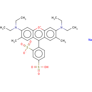 CAS No:3520-42-1 Sulforhodamine B