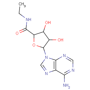 CAS No:35920-39-9 b-D-Ribofuranuronamide,1-(6-amino-9H-purin-9-yl)-1-deoxy-N-ethyl-