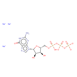 CAS No:36051-31-7 Guanosine 5'-triphosphate trisodium salt