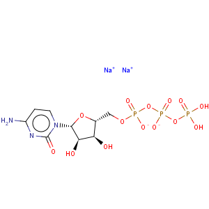 CAS No:36051-68-0 Cytidine-5'-triphosphate disodium salt