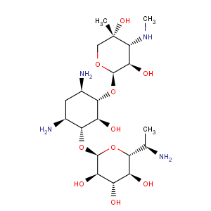 CAS No:36889-16-4 D-Streptamine,O-6-amino-6,7-dideoxy-D-glycero-a-D-gluco-heptopyranosyl-(1®