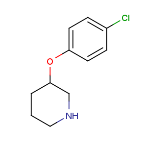 CAS No:384346-27-4 3-(4-chlorophenoxy)piperidine