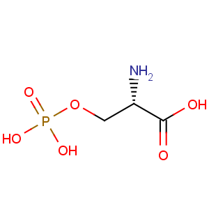 CAS No:407-41-0 O-Phospho-L-serine