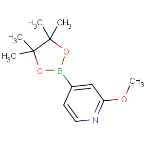 CAS No:408502-23-8 2-methoxy-4-(4,4,5,5-tetramethyl-1,3,2-dioxaborolan-2-yl)pyridine