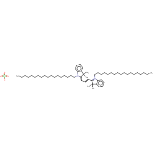 CAS No:41085-99-8 1,1'-Dioctadecyl-3,3,3',3'-tetramethylindocarbocyanine perchlorate