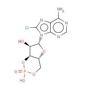 CAS No:41941-56-4 Adenosine, 8-chloro-,cyclic 3',5'-(hydrogen phosphate)