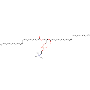 CAS No:4235-95-4 Dierucoyl phosphatidylcholine