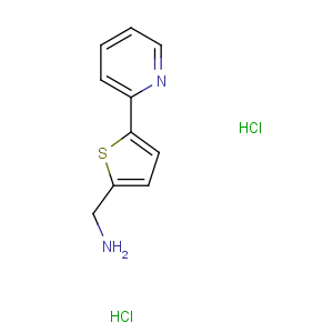 CAS No:423768-36-9 (5-pyridin-2-ylthiophen-2-yl)methanamine