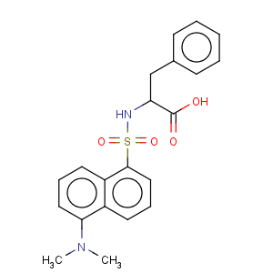 CAS No:42808-06-0 Dansyl-(DL)-phenylalanine dicyclohexylammonium salt