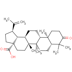 CAS No:4481-62-3 Betulonic acid